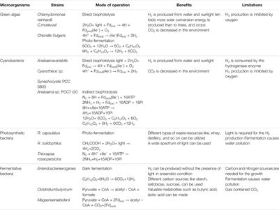 Biohydrogen Production From Biomass Sources: Metabolic Pathways and Economic Analysis